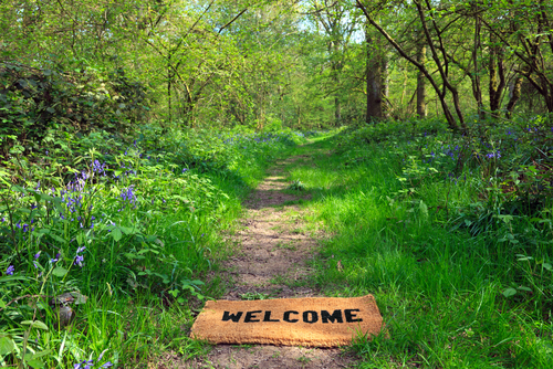 welcome mat on a forest path