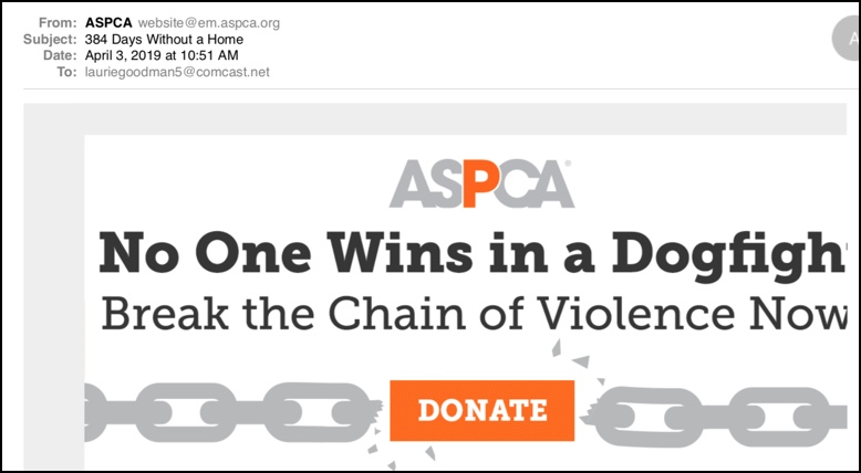 Screen shot of ASPCA Email with subject line: 384 days without a home