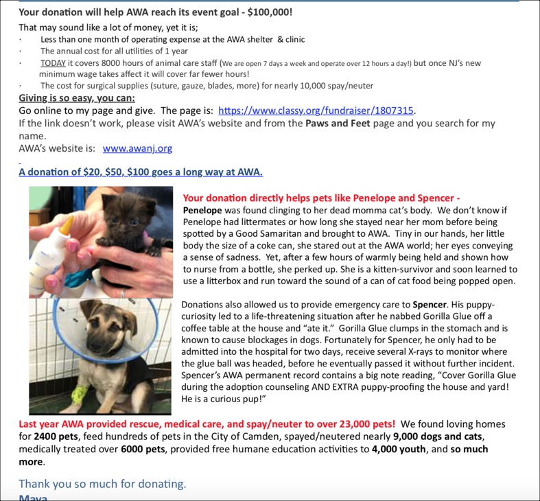 Email Appeal from Animal Welfare Association with 5 different colored inks used in the text.