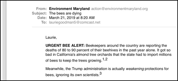 Screen shot of email from Environment Maryland with subject line: The bees are dying