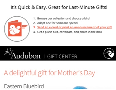 Screenshot of an email appeal with instructions telling donors how to adopt a bird for mother's day and send an e-card to her.