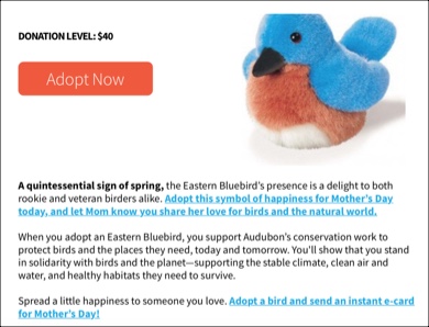 Screenshot of an email appeal explaining to the donor why adopting a bird for mother's day is a good way to honor your mother.