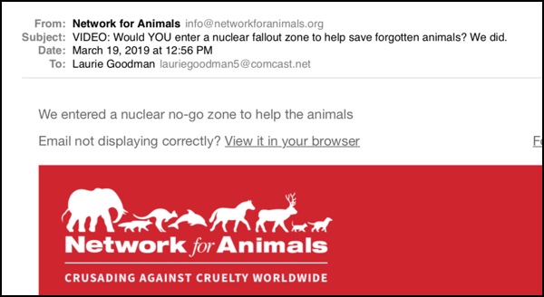 Screen shot of email from Network for Animals with subject line: Would YOU enter a nuclear fallout zone to help save forgotten animals? We did.
