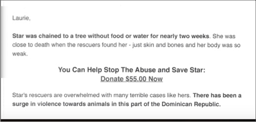 Screen shot of an email from SPCA International talking about a dog named Star and why they need money to help her.