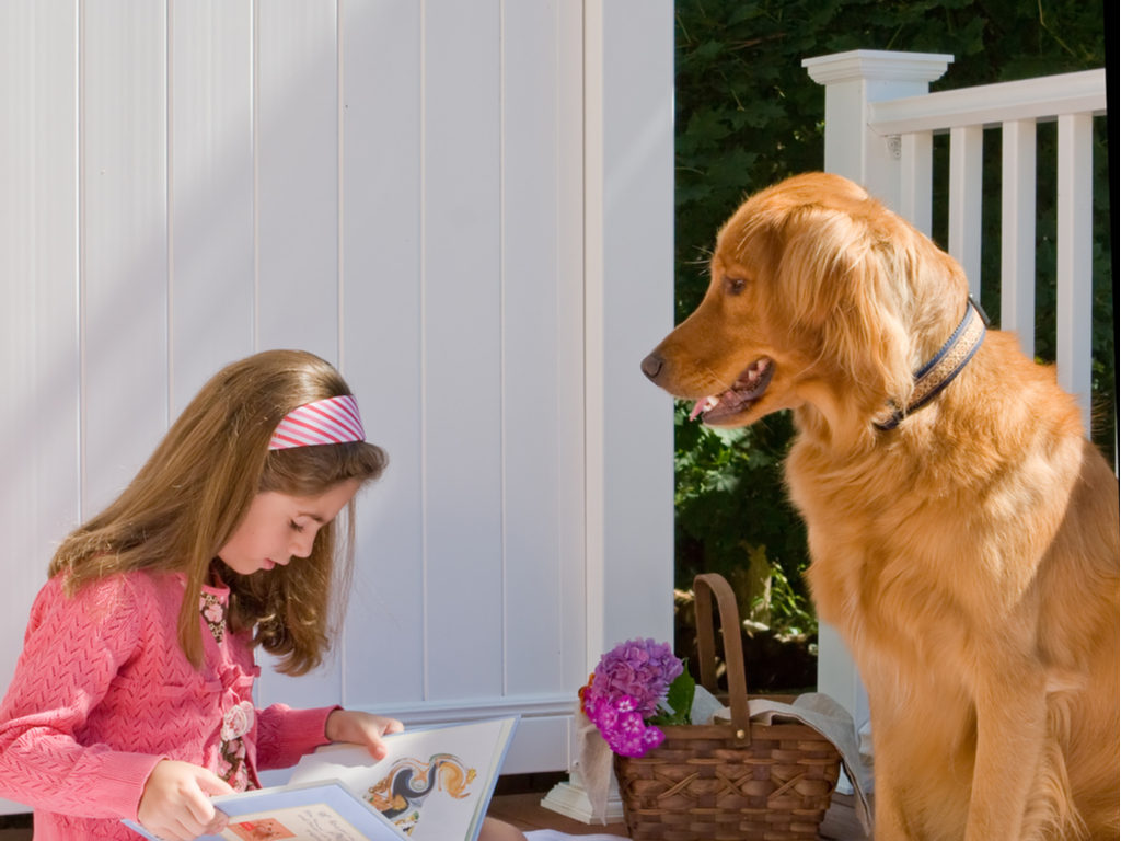 Photo of a young girl reading to her golden retriever.